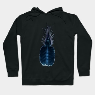 Pineapple X-Ray Pattern Hoodie